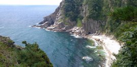 彼得罗夫岛和龙公园
